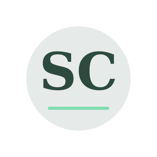 Stetson Chimney Service logo